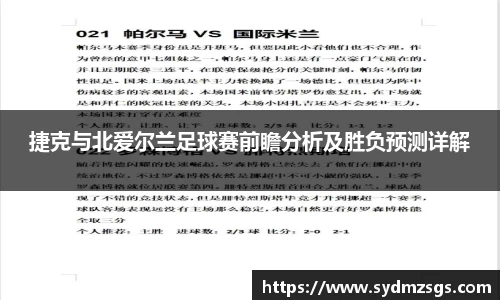 捷克与北爱尔兰足球赛前瞻分析及胜负预测详解